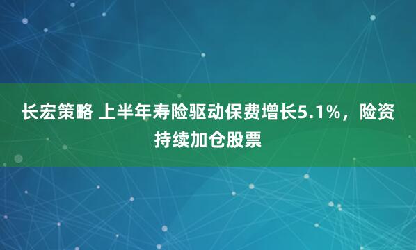 长宏策略 上半年寿险驱动保费增长5.1%，险资持续加仓股票